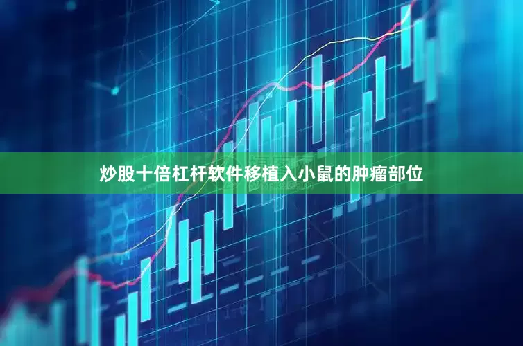 炒股十倍杠杆软件移植入小鼠的肿瘤部位