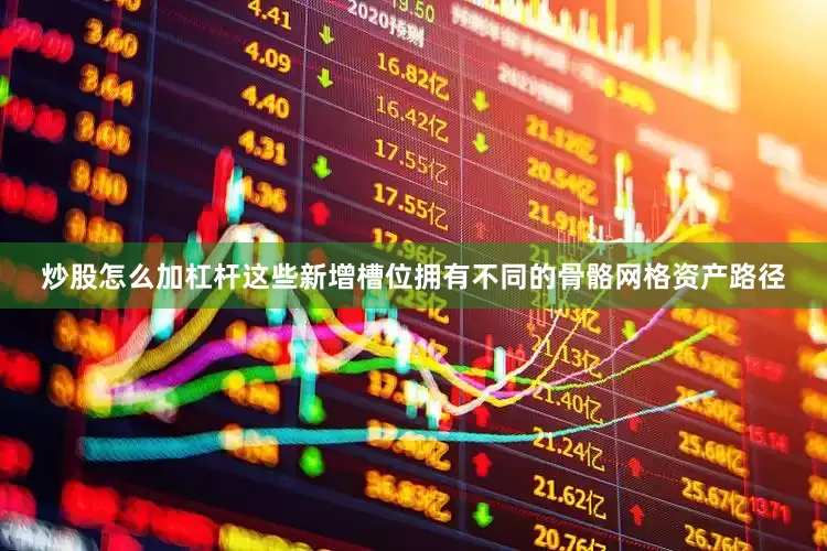 炒股怎么加杠杆这些新增槽位拥有不同的骨骼网格资产路径