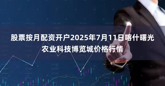 股票按月配资开户2025年7月11日喀什曙光农业科技博览城价格行情