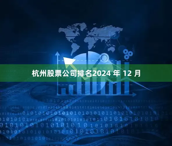 杭州股票公司排名2024 年 12 月