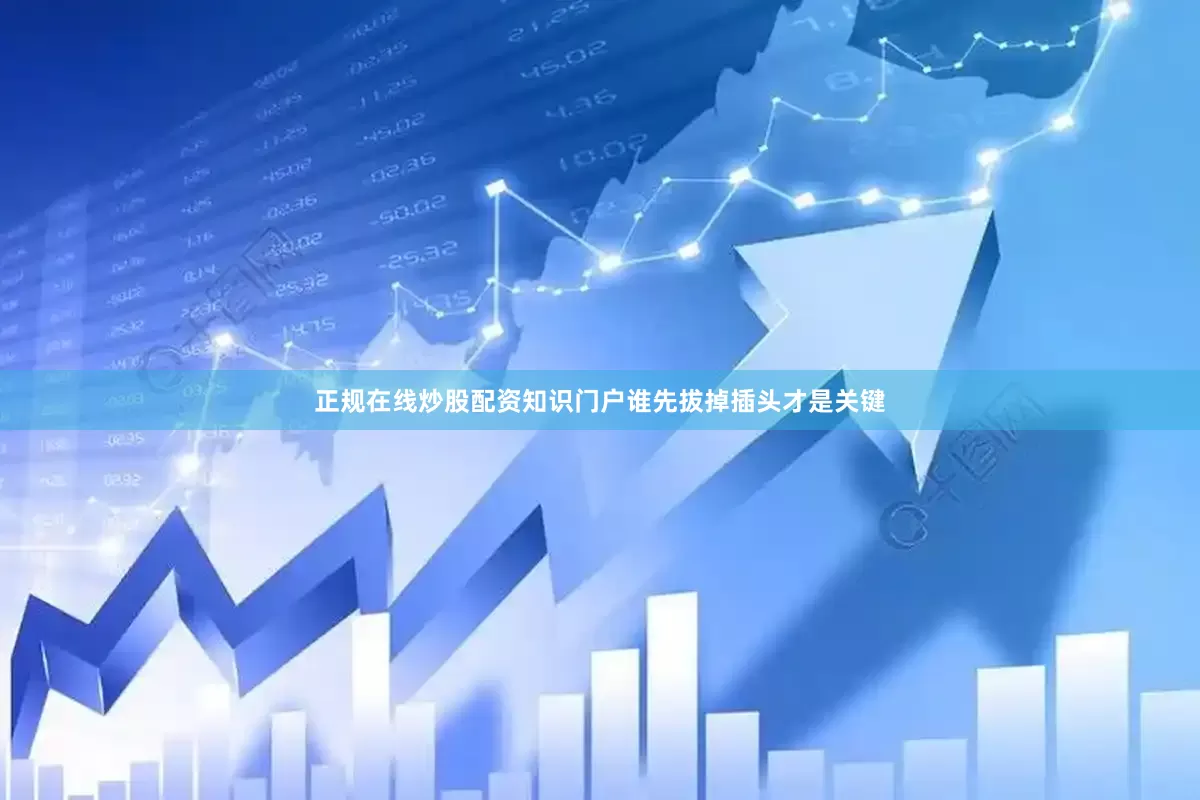 正规在线炒股配资知识门户谁先拔掉插头才是关键